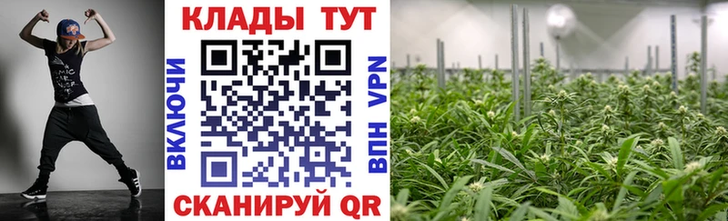 Сколько стоит Гуково ГАШИШ  Cocaine  Мефедрон 