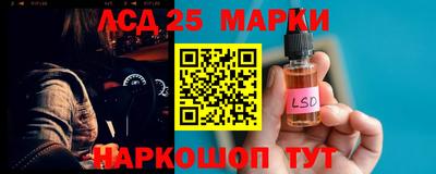 прущие грибы Абакан