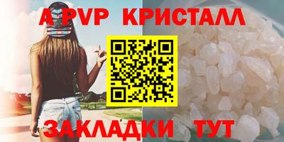 СК Волгодонск