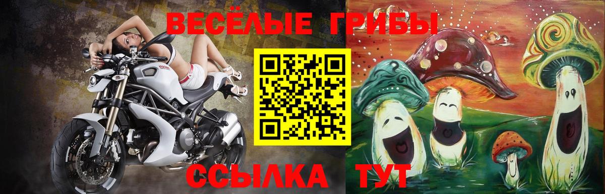 Псилоцибиновые грибы GOLDEN TEACHER  продажа наркотиков  Псилоцибиновые грибы MAGIC MUSHROOMS  Гуково 